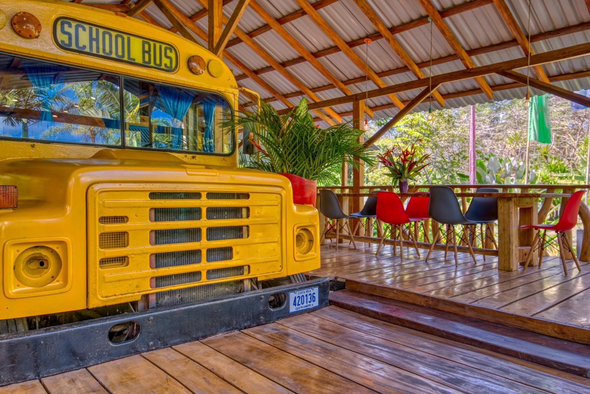 Tree House Beachfront Lodge Puerto Viejo de Talamanca المظهر الخارجي الصورة