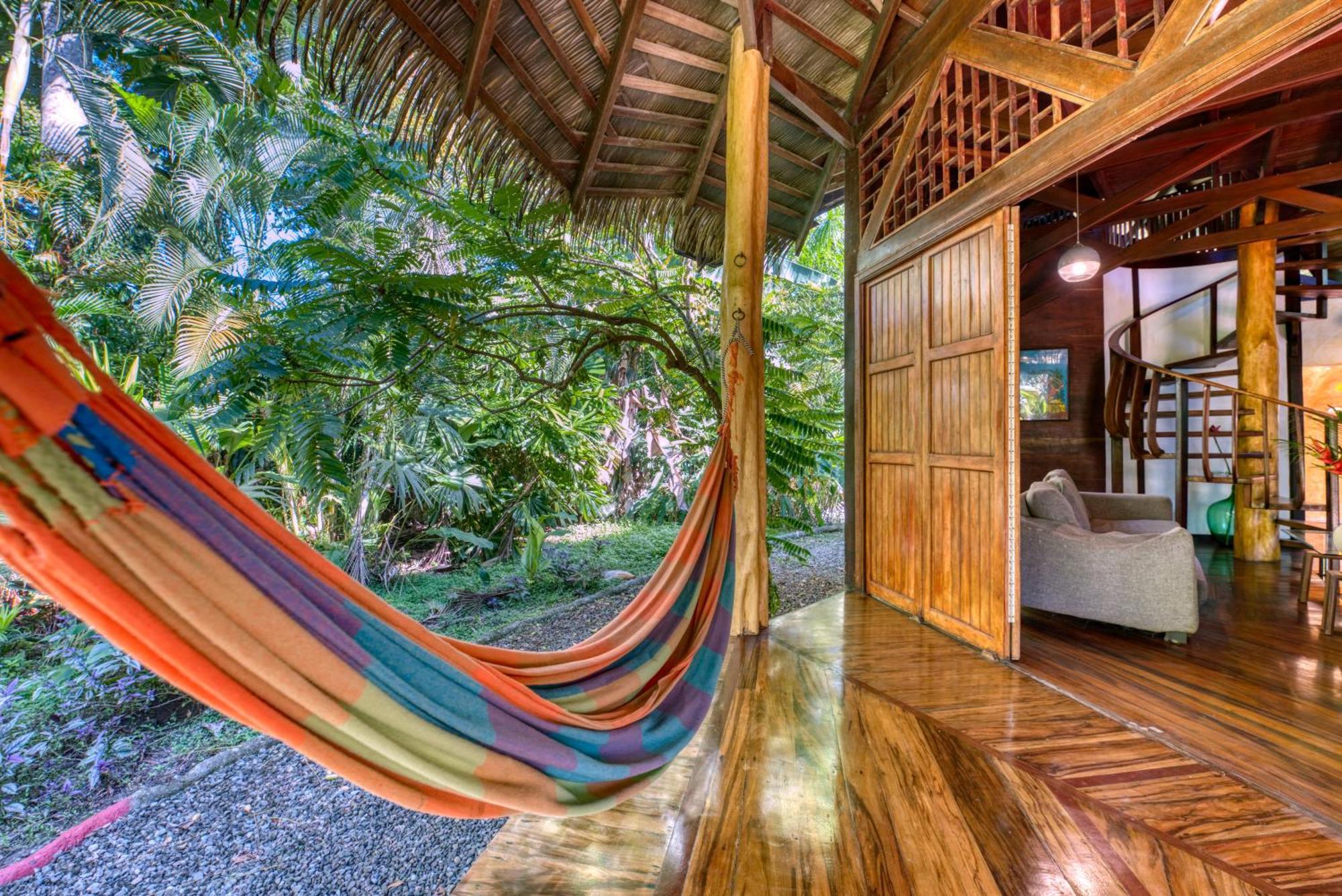 Tree House Beachfront Lodge Puerto Viejo de Talamanca المظهر الخارجي الصورة