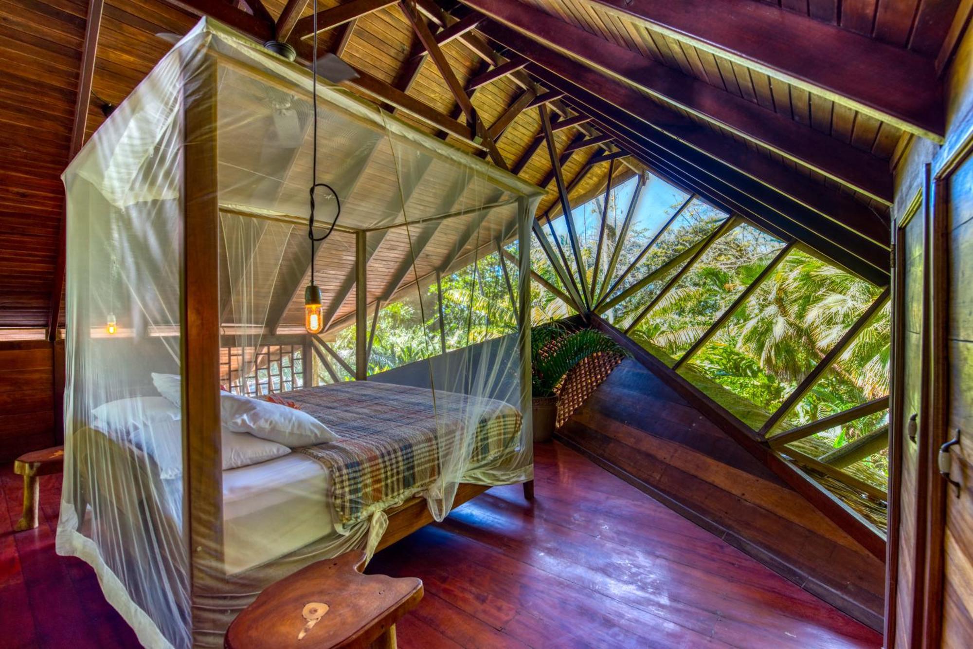 Tree House Beachfront Lodge Puerto Viejo de Talamanca المظهر الخارجي الصورة