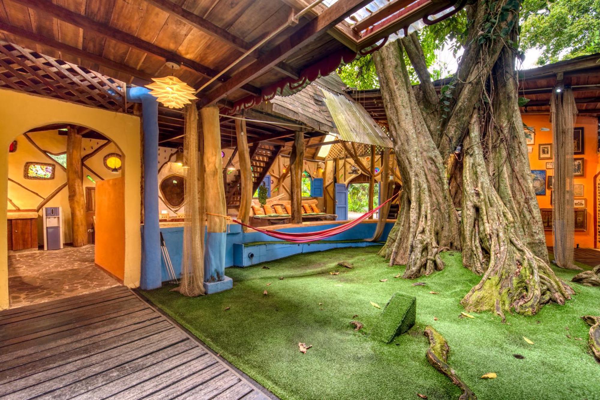 Tree House Beachfront Lodge Puerto Viejo de Talamanca المظهر الخارجي الصورة