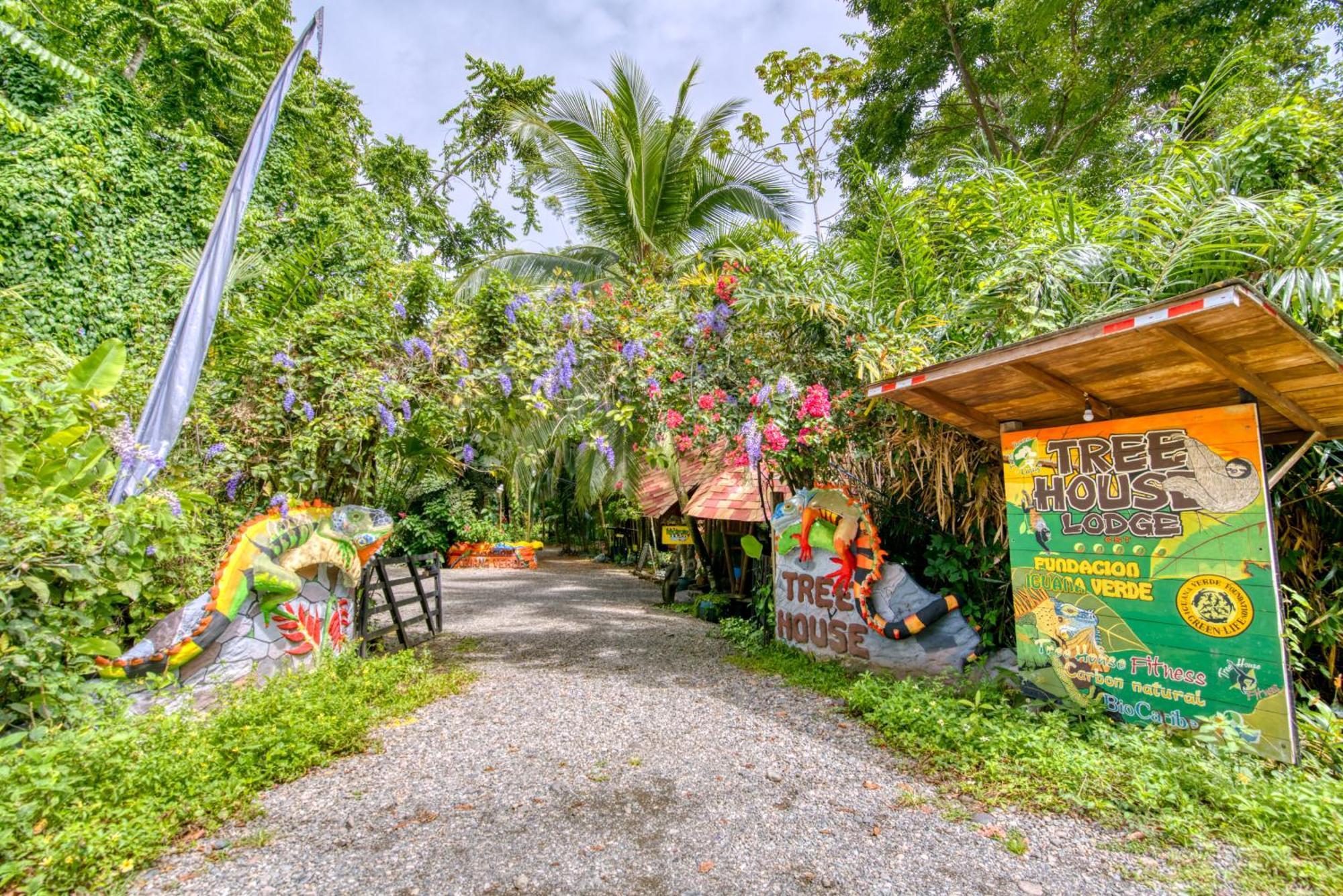 Tree House Beachfront Lodge Puerto Viejo de Talamanca المظهر الخارجي الصورة