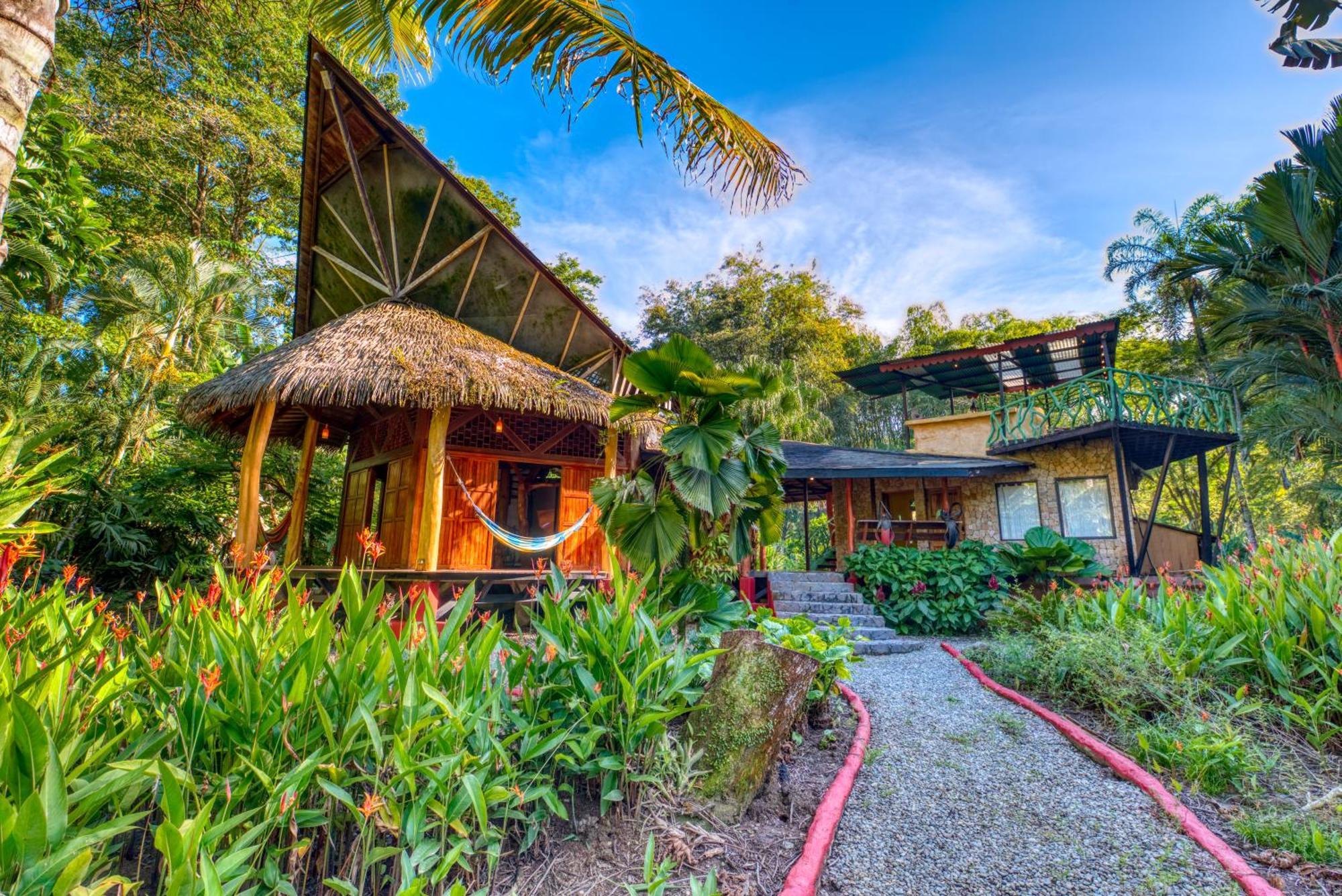 Tree House Beachfront Lodge Puerto Viejo de Talamanca المظهر الخارجي الصورة