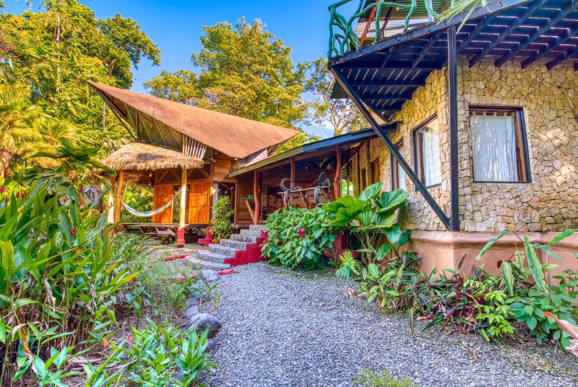Tree House Beachfront Lodge Puerto Viejo de Talamanca المظهر الخارجي الصورة