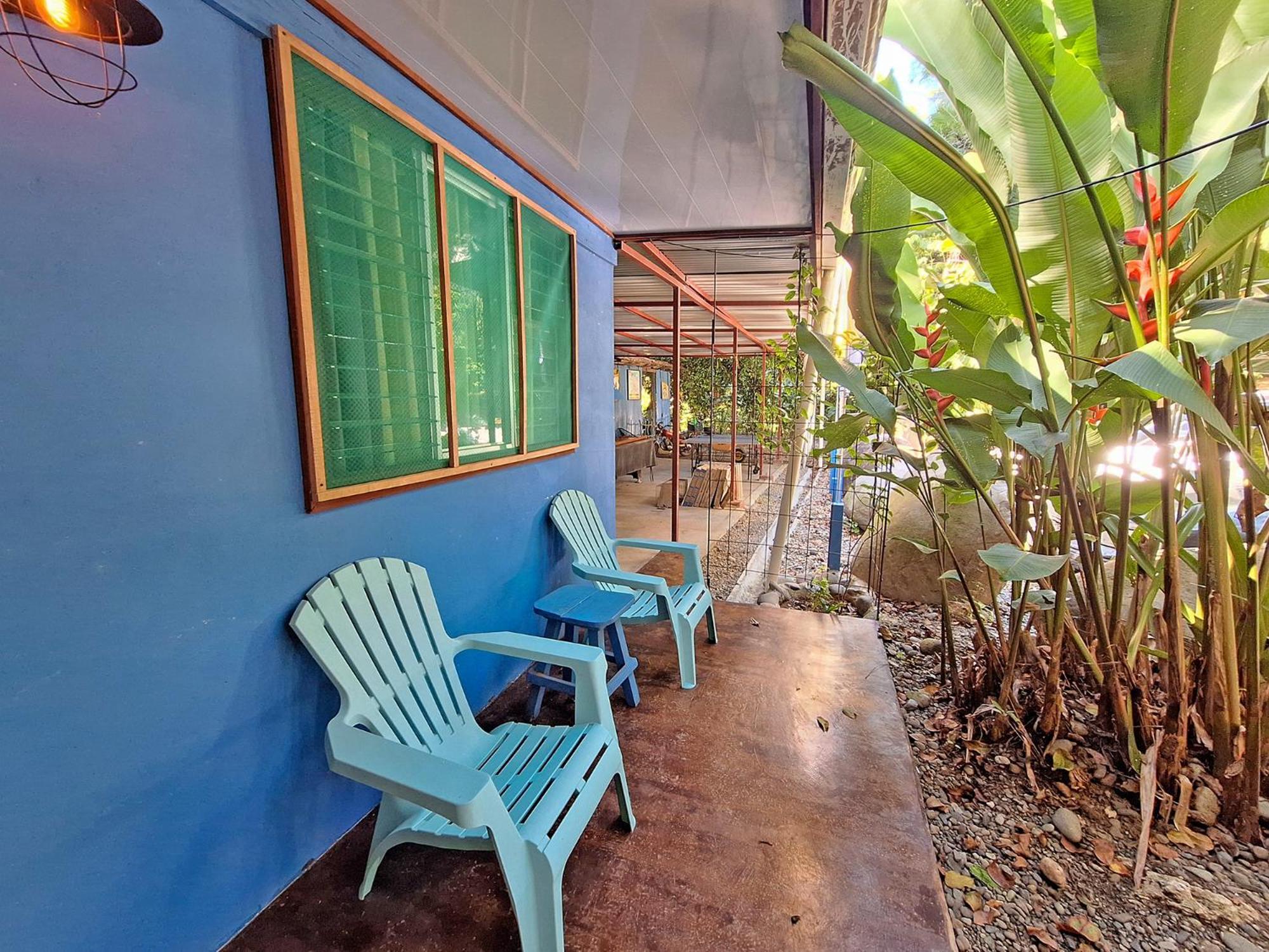 Tree House Beachfront Lodge Puerto Viejo de Talamanca المظهر الخارجي الصورة