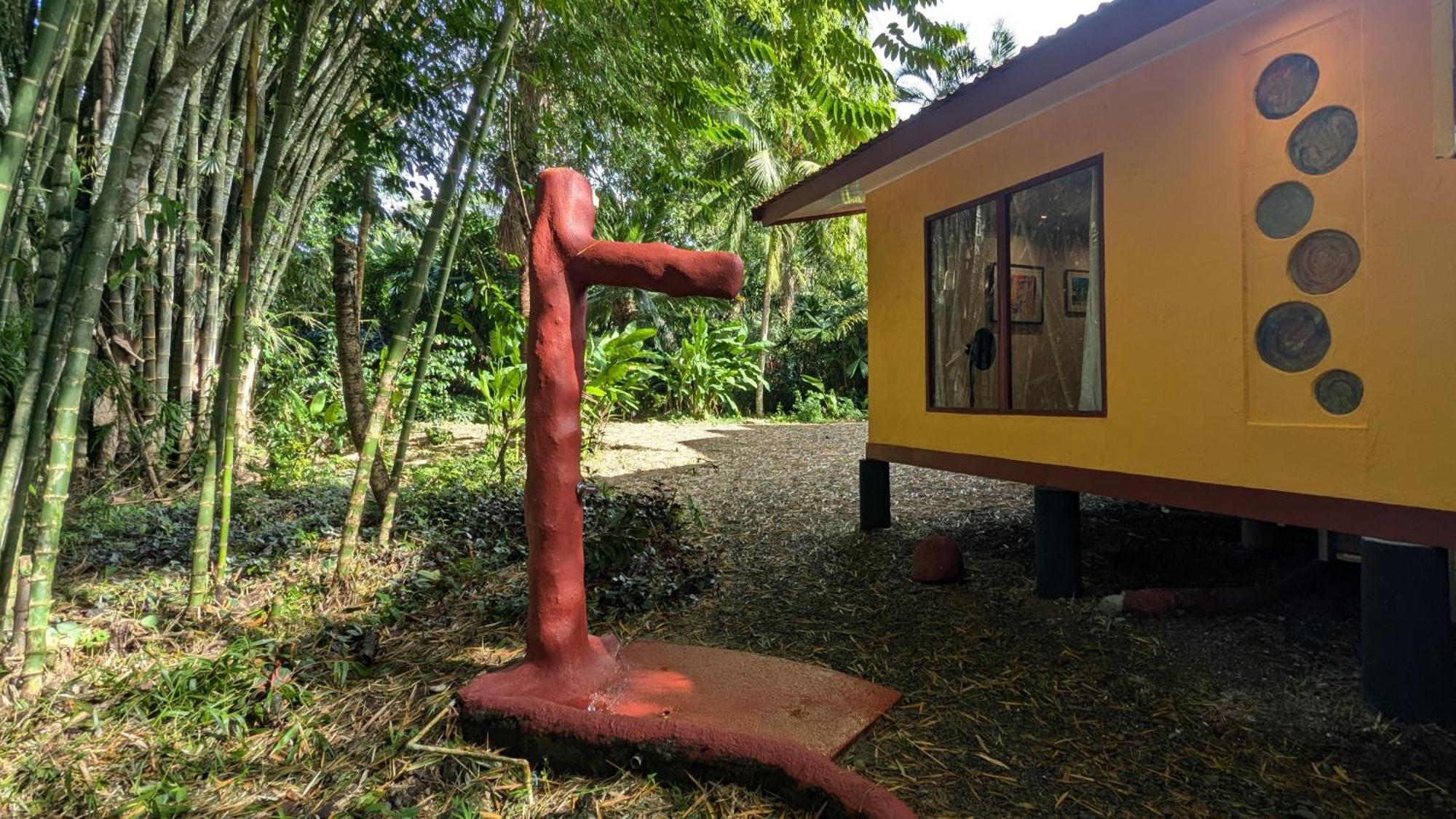 Tree House Beachfront Lodge Puerto Viejo de Talamanca المظهر الخارجي الصورة