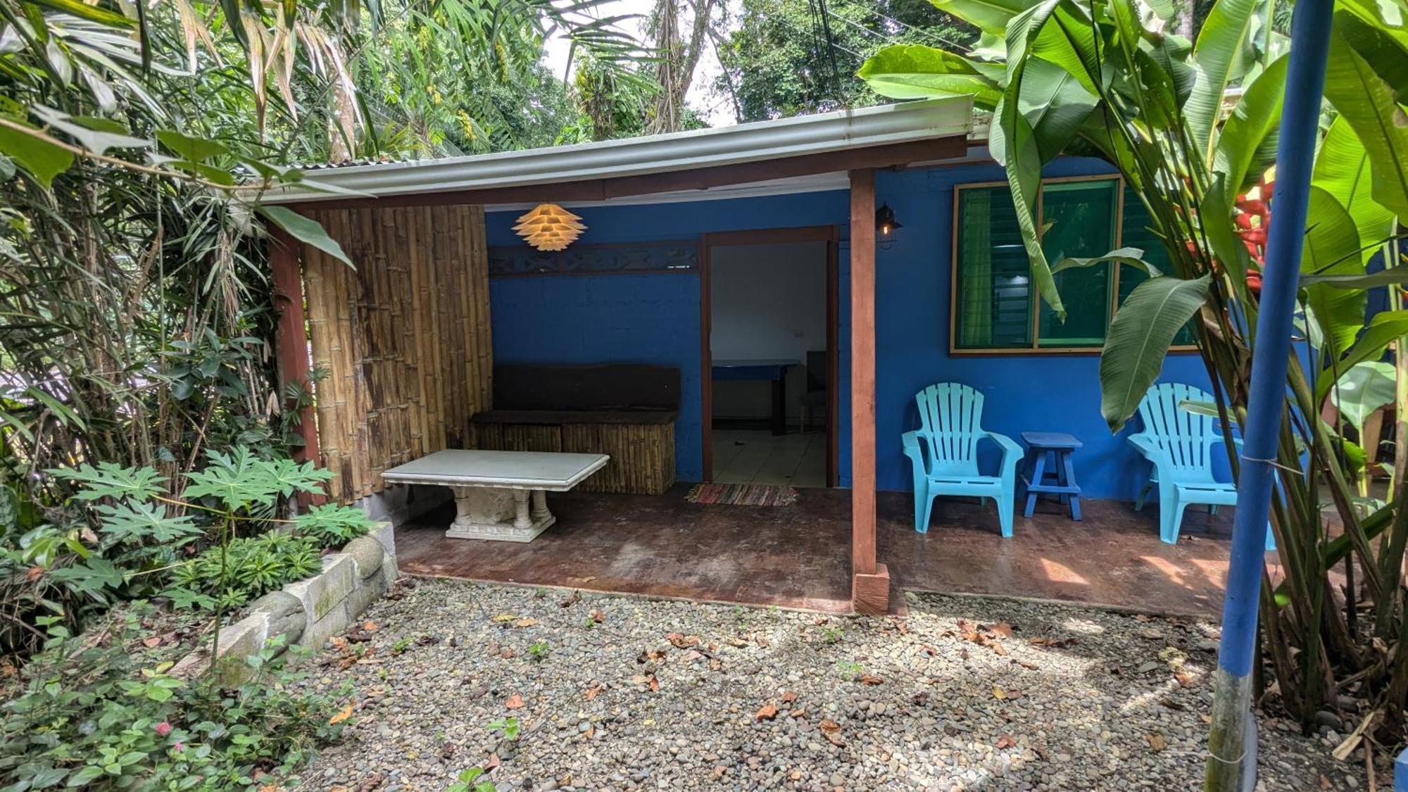 Tree House Beachfront Lodge Puerto Viejo de Talamanca المظهر الخارجي الصورة