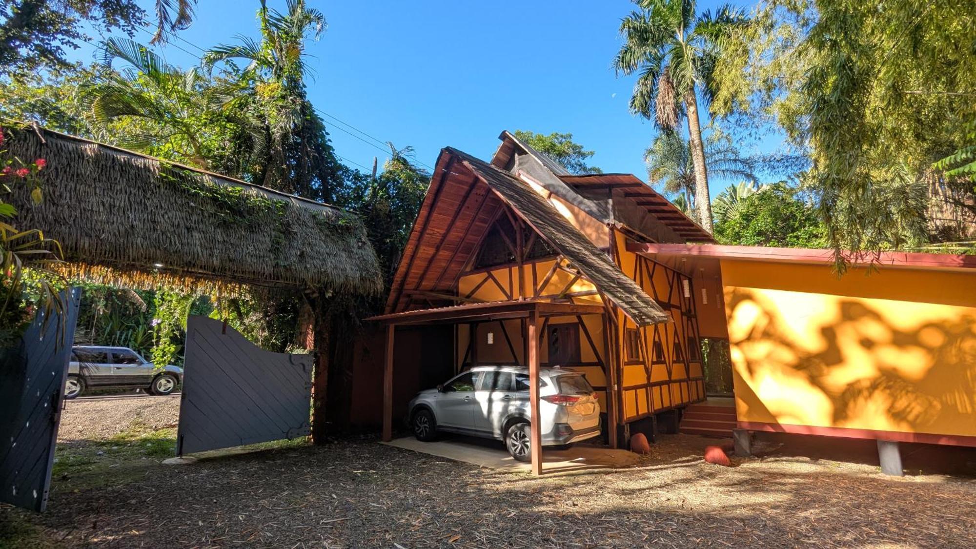 Tree House Beachfront Lodge Puerto Viejo de Talamanca المظهر الخارجي الصورة