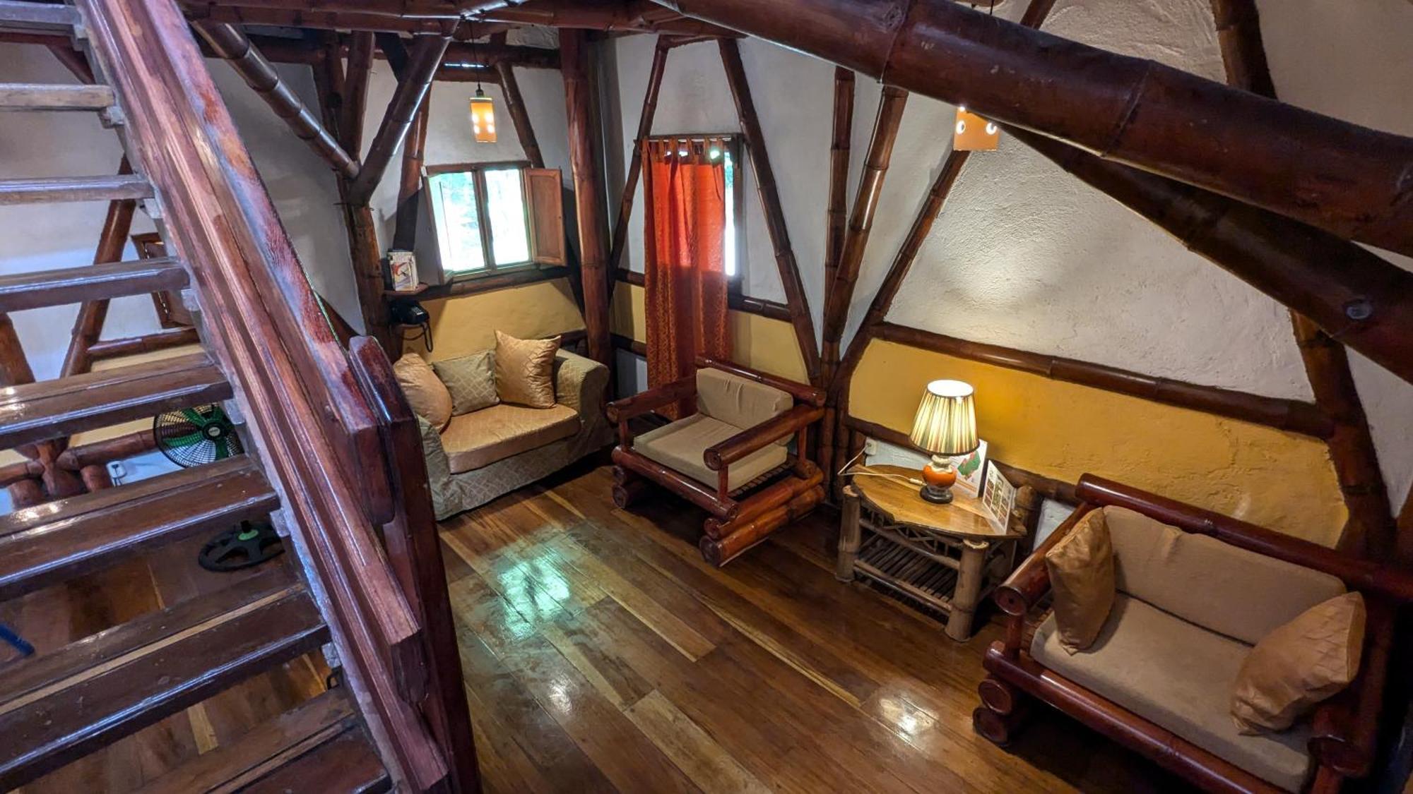 Tree House Beachfront Lodge Puerto Viejo de Talamanca المظهر الخارجي الصورة