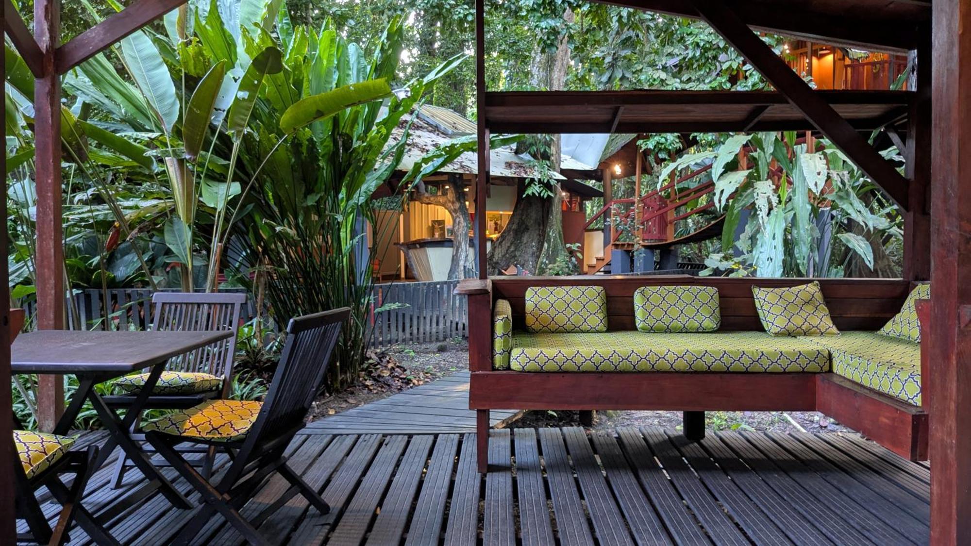 Tree House Beachfront Lodge Puerto Viejo de Talamanca المظهر الخارجي الصورة