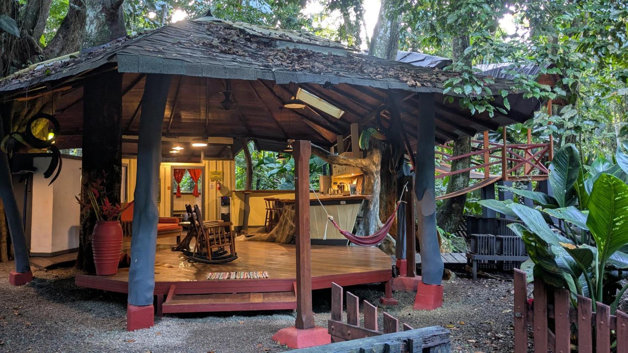Tree House Beachfront Lodge Puerto Viejo de Talamanca المظهر الخارجي الصورة