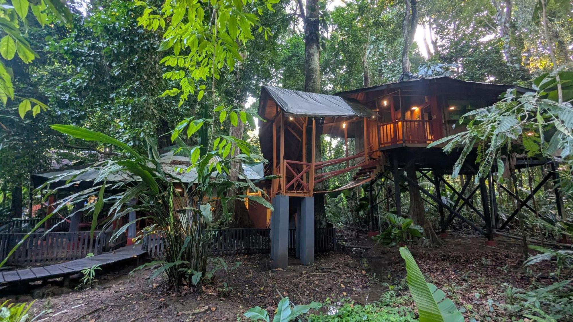 Tree House Beachfront Lodge Puerto Viejo de Talamanca المظهر الخارجي الصورة