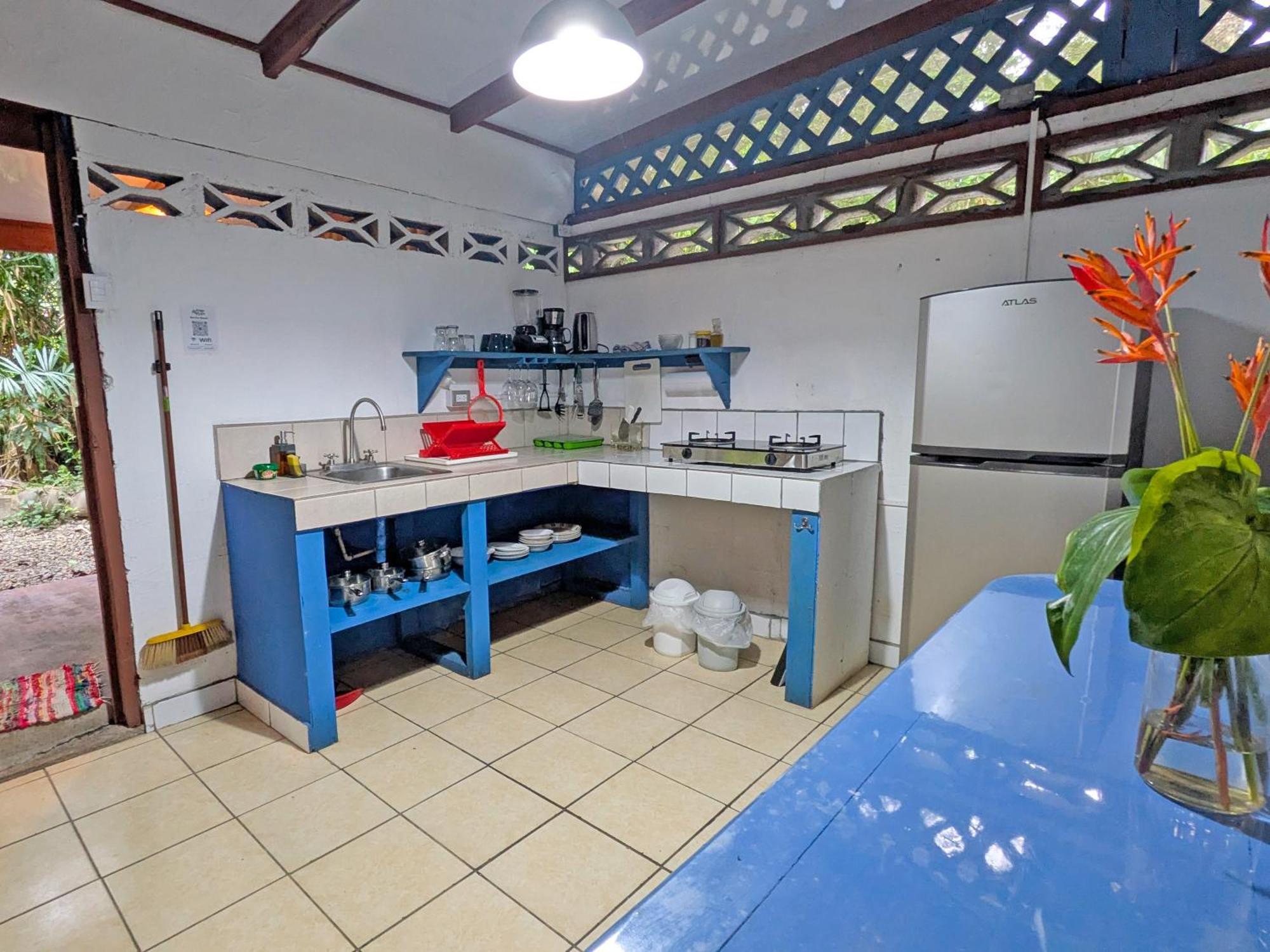 Tree House Beachfront Lodge Puerto Viejo de Talamanca المظهر الخارجي الصورة
